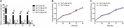 Biological Functions of Let-7e-5p in Promoting the Differentiation of MC3T3-E1 Cells